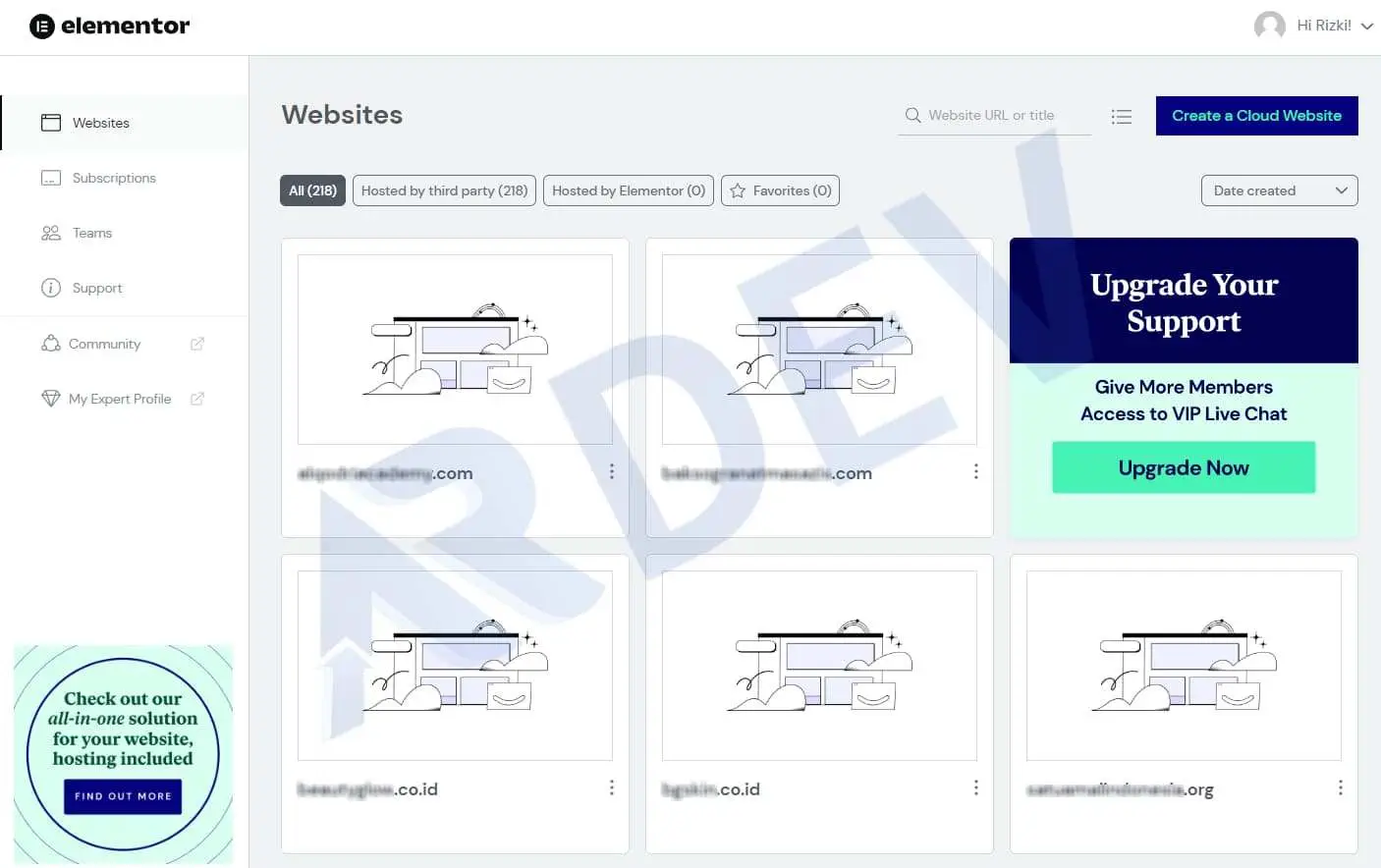 Web Elementor Pro